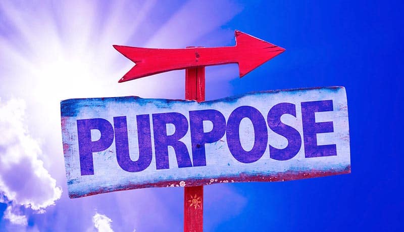 purpose